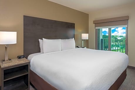 Suite-1 King Bed  Non-Smoking Sofabed Balcony Flat Screen Television Microwave And Refrigerator Hair