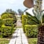 Jimmy’s Garden