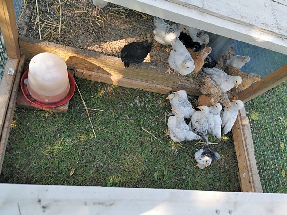 Bienvenue chez moi à Concevreux