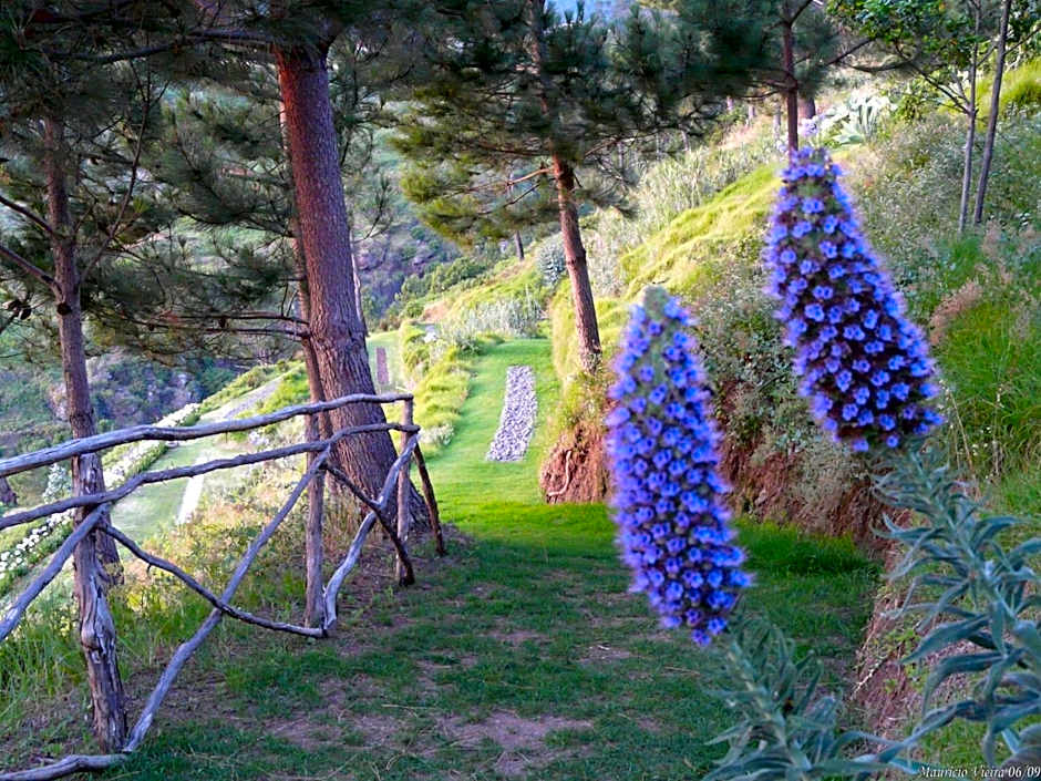 Hotel Jardim Atlantico