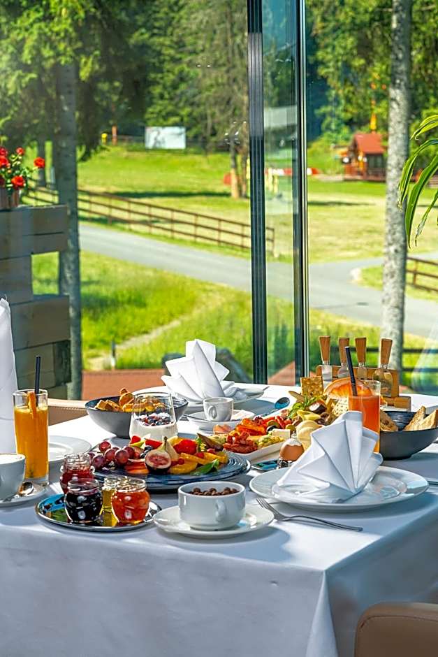 Ana Hotels Sport Poiana Brasov