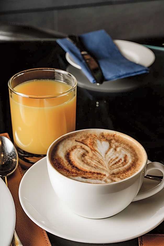 Hyatt Regency London Albert Embankment