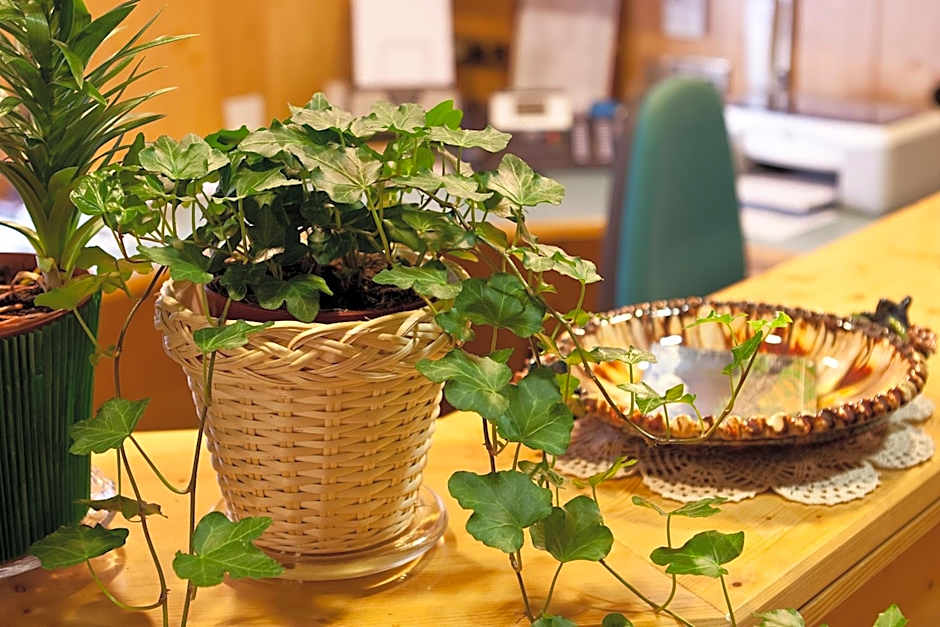 Garni Appartments Helvetia