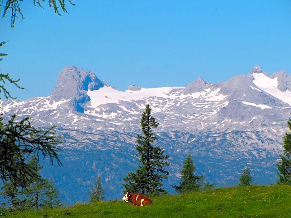 Hotel Berghof Tauplitzalm