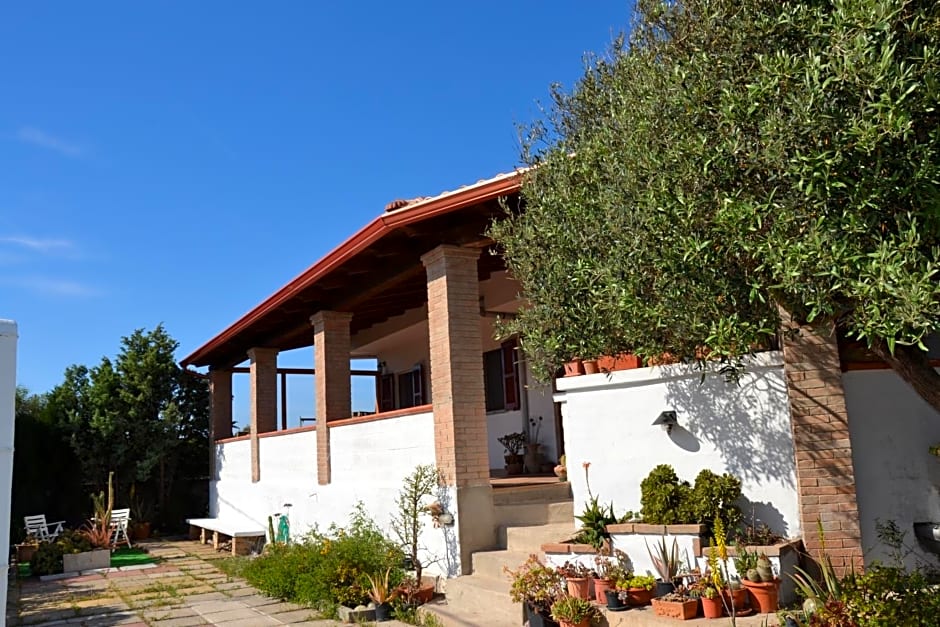 Mi casa es tu casa 79