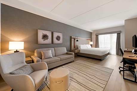 King Suite with Bath Tub and Sofa Bed - Disability Access/Non-Smoking