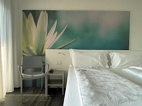 Superior Double or Twin Room with Lake View