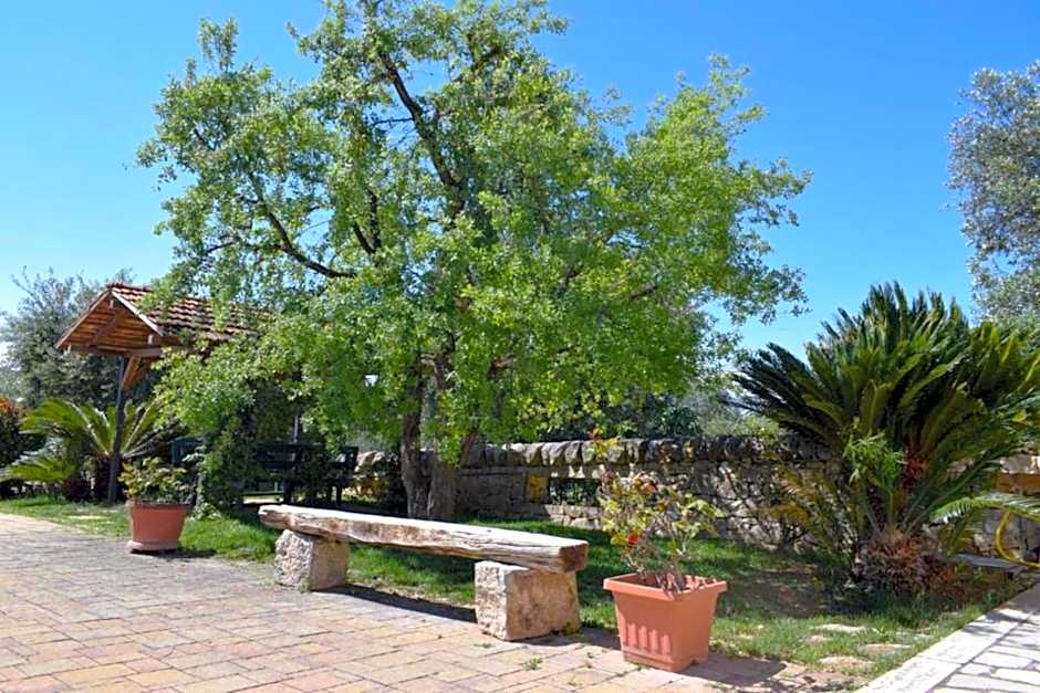B&B La Rosa dei Trulli Alberobello
