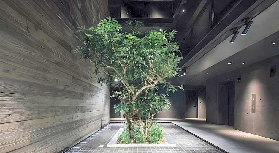 nol kyoto sanjo