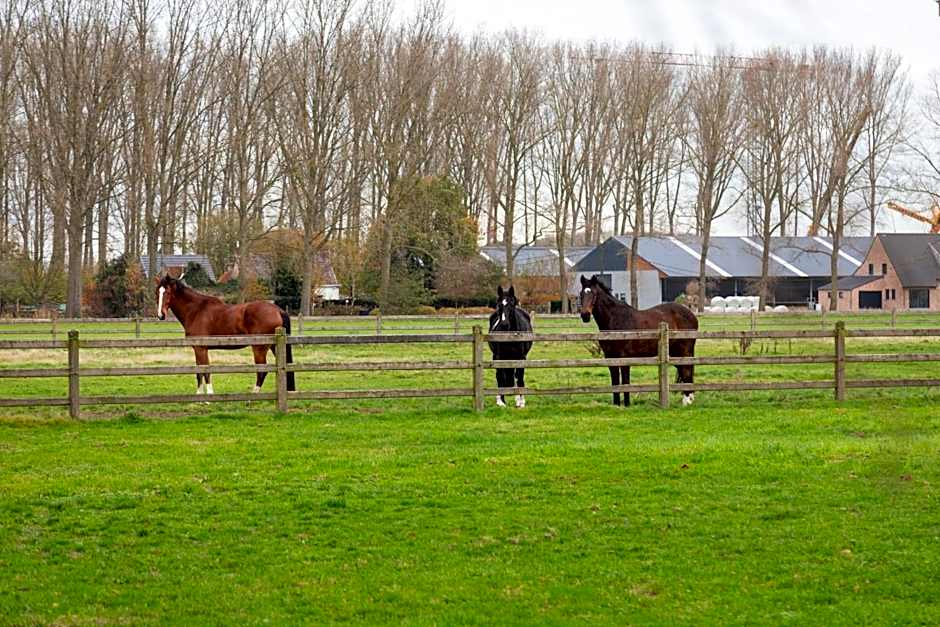 B&B De Leestjespolder