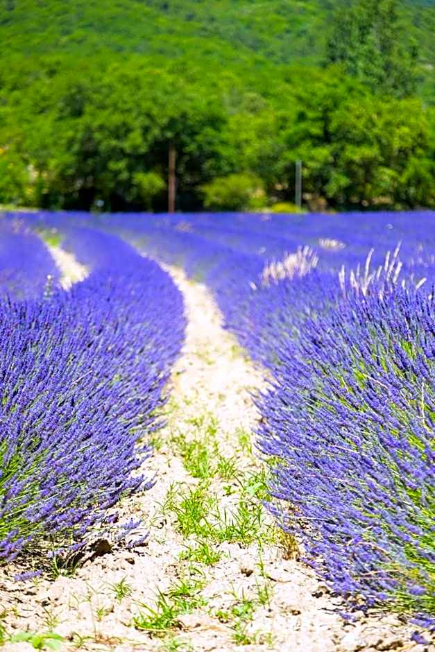 Domaine Les Sources de Dieulefit