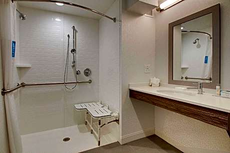 1 King Mobility/Hearing Acc Ri Shower Nosmok