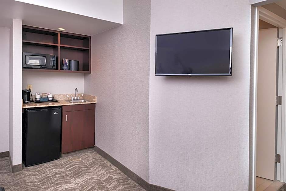 SpringHill Suites by Marriott Pittsburgh North Shore