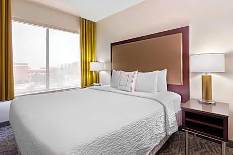 Suite, 1 King Bed with Sofa bed (Hearing Accessible) (1 King Bed and 1 Double Sofa Bed)