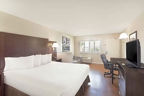 1 King Bed Non-Smoking