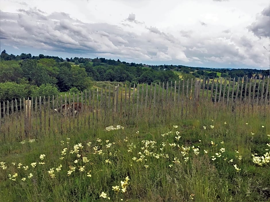 Chambre d’hôte - Ilse's Garden Chair