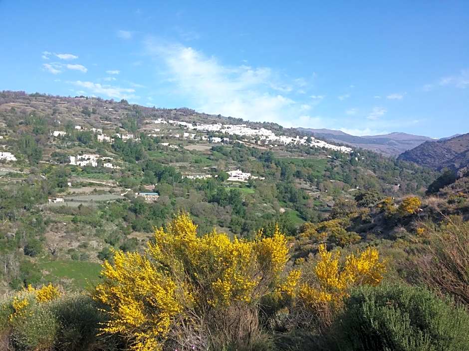 El Cercado Turismo Rural & SPA