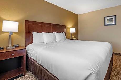 King Suite with Sofa Bed - Non-Smoking