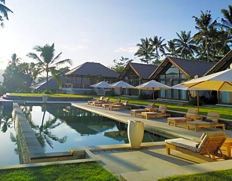 Palmterrace