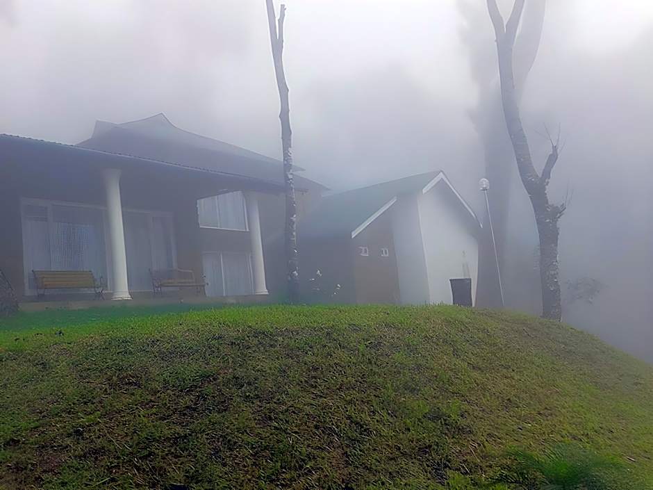 Neelakurunji Plantation Munnar
