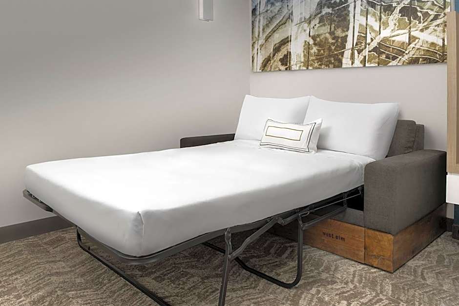 SpringHill Suites by Marriott Atlanta Perimeter Center