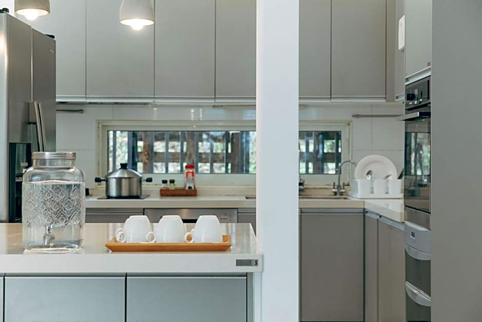 Green Wave Sanyi BY REINDEER