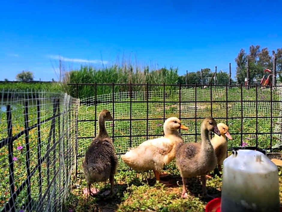 Camping Village Tuscia Tirrenica