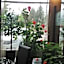 Hotel Piemonte
