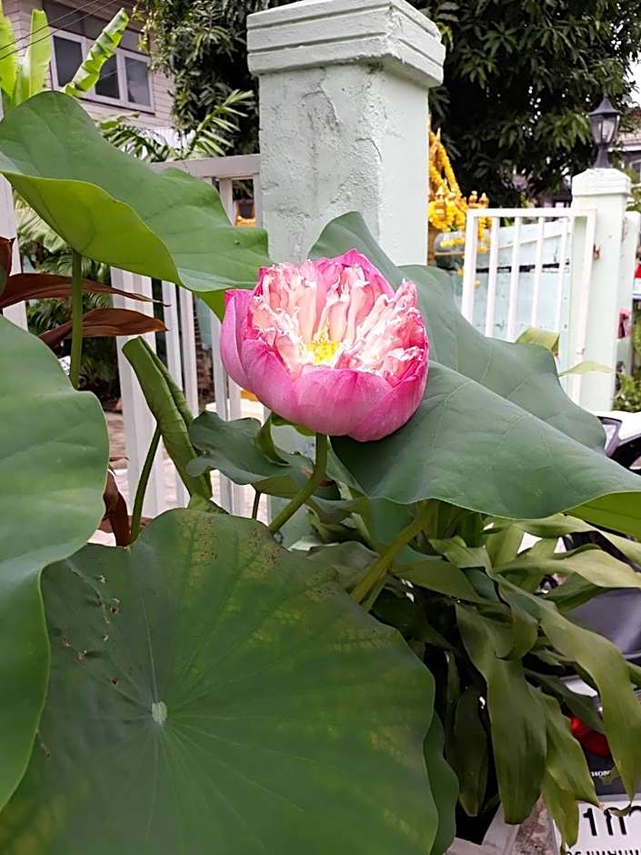 D Heart Homestay
