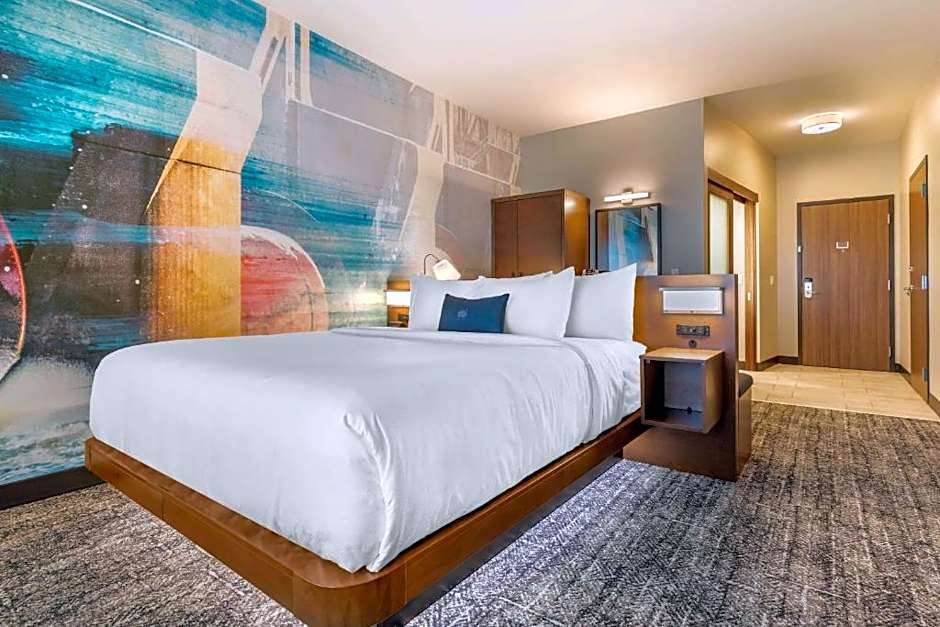 Photo 1 of 7 of 1 King Bed, Mobility Accessible, Roll in Shower
