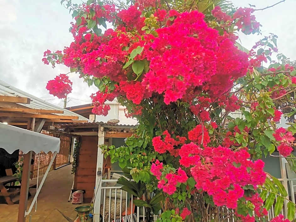 Les Gîtes du Sud - Ô Naturel