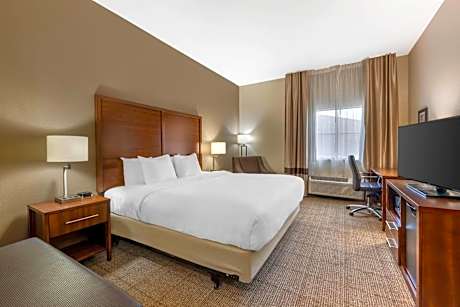 King Room with Roll-In Shower - Accessible/Non-Smoking