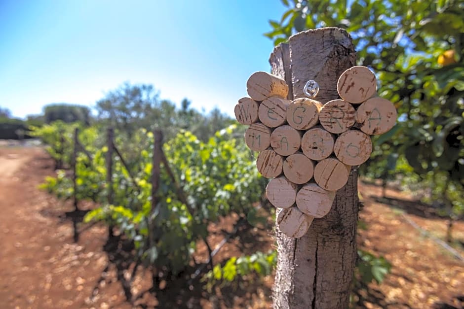 B&B Villa Mamma Grazia