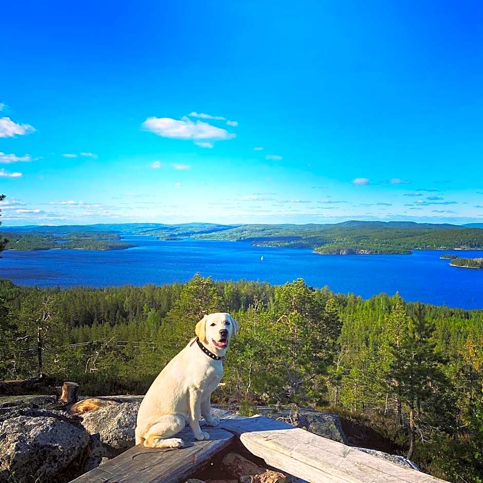Snibben Höga Kusten
