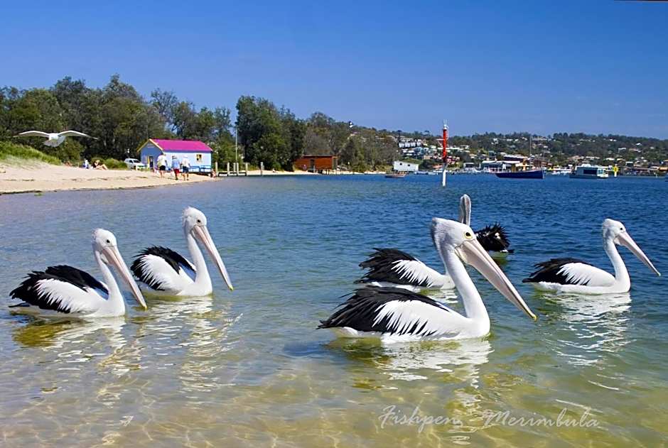 Balconies Dolphincove