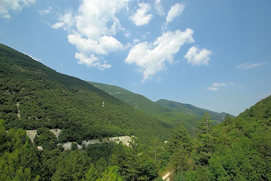 Angela Garden