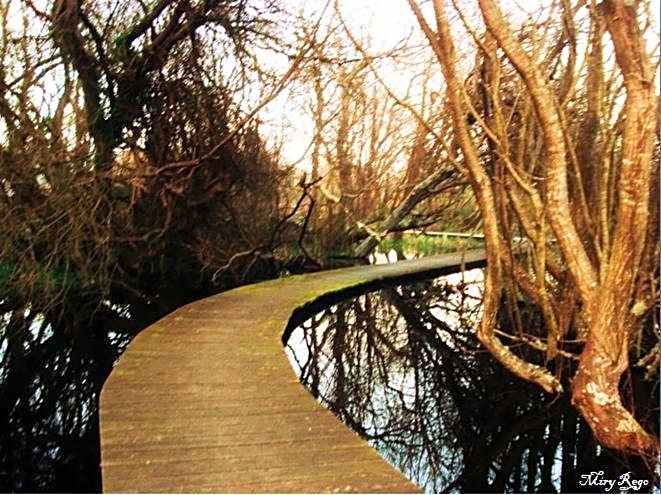 Hotel Viento del Norte