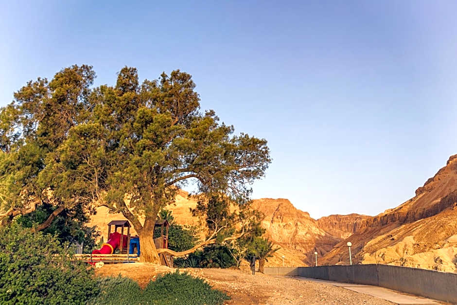 Ein Gedi Kibbutz Hotel