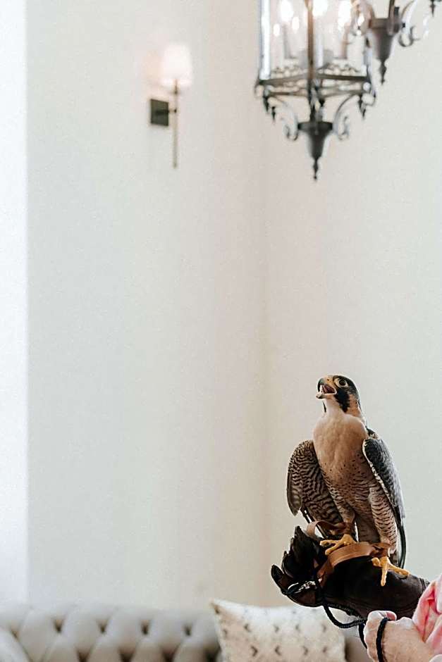 The Peregrine Omaha Downtown Curio Collection by Hilton