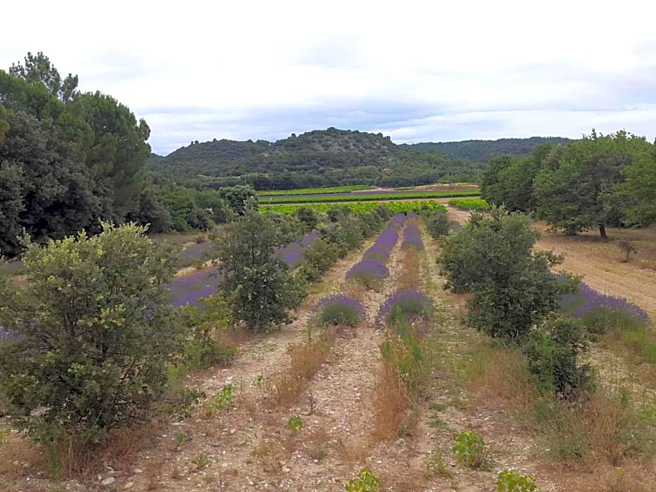 Chambre d'hôtes en Provence