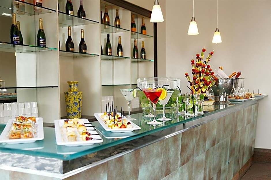 Millennium Hotel Paris Charles De Gaulle