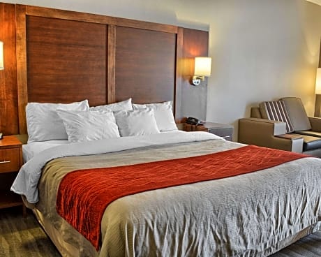 1 King Bed, Suite, Nonsmoking