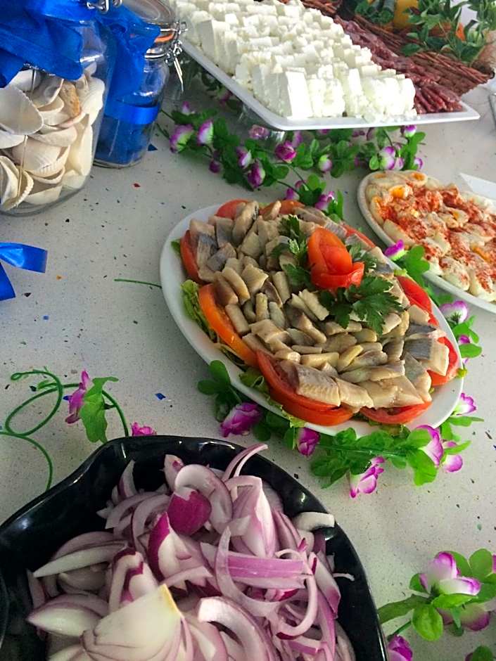 Palace Hotel - Half Board