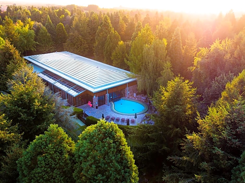 Disney Sequoia Lodge