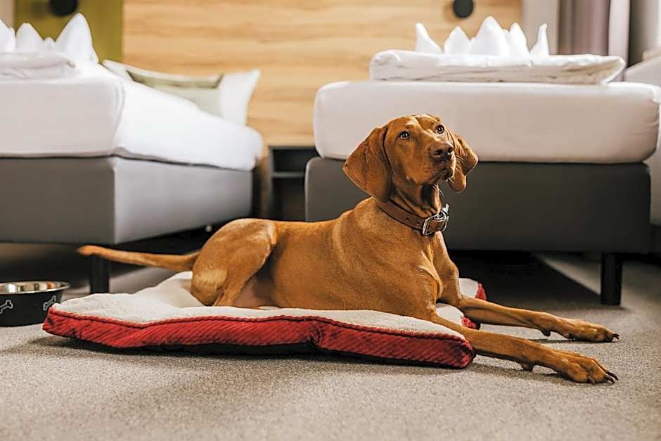 Harzhotel Güntersberge