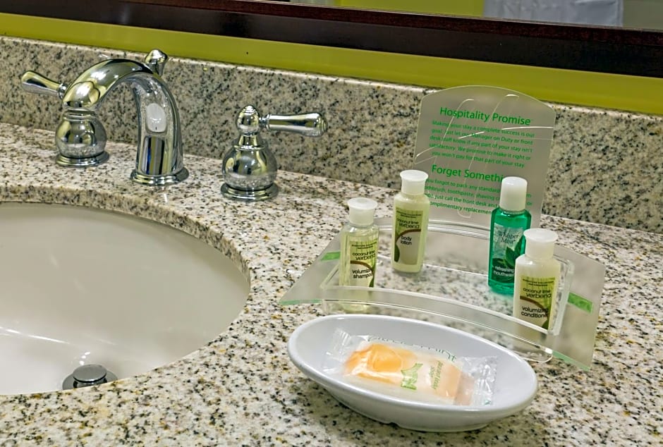 Holiday Inn Hotel French Quarter-Chateau Lemoyne By IHG