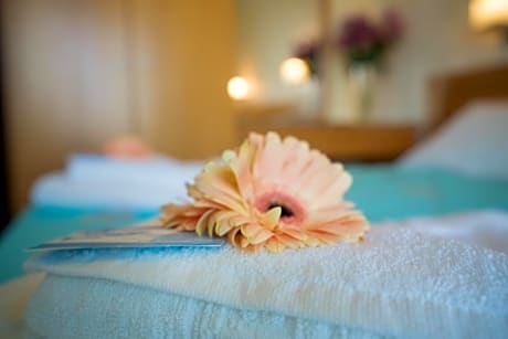 Superior Family Room