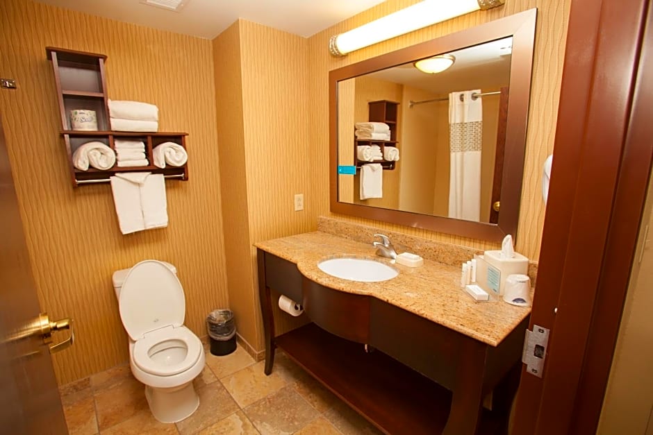 Hampton Inn Elmira/Horseheads