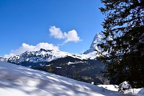 Sportlodge Mürren