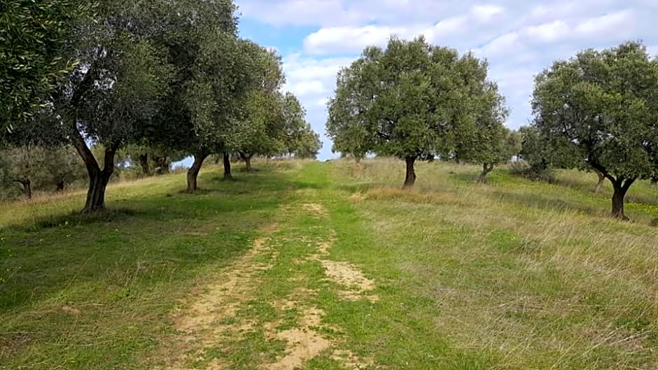 Casale degli Ulivi
